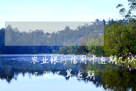 农业银行信用卡逾期几块钱(农业信用卡逾期几天不算逾期)