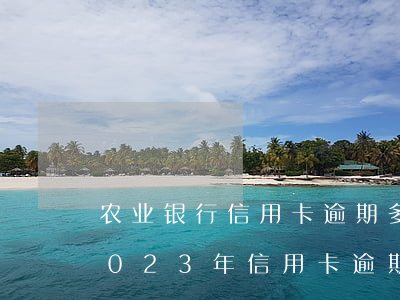 农业银行信用卡逾期多久会被起诉坐牢-2023年信用卡逾期新政策