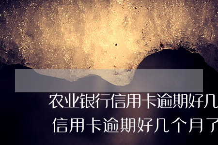农业银行信用卡逾期好几个月了-农业银行信用卡逾期好几个月了怎么办