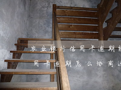 农业银行信用卡逾期能协商吗(农村信用社信用卡逾期怎么协商还款)