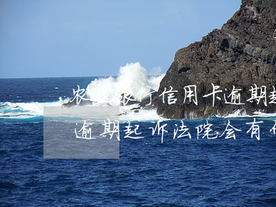 农业银行信用卡逾期起诉-农业银行信用卡逾期起诉法院会有什么后果