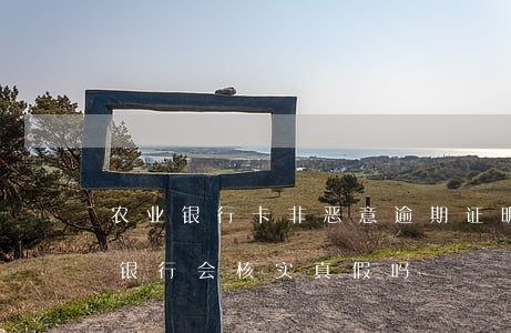 农业银行卡非恶意逾期证明(非恶意逾期证明银行会核实真假吗)