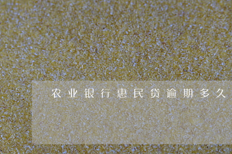 农业银行惠民贷逾期多久会起诉-