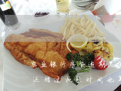 农业银行房贷逾期怎么算(农业银行房贷当天还错过扣款时间也算逾期)