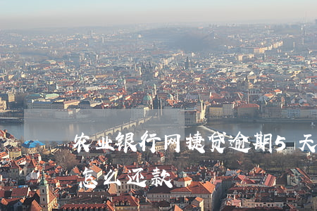 农业银行网捷贷逾期5天(农行网捷贷逾期后怎么还款)