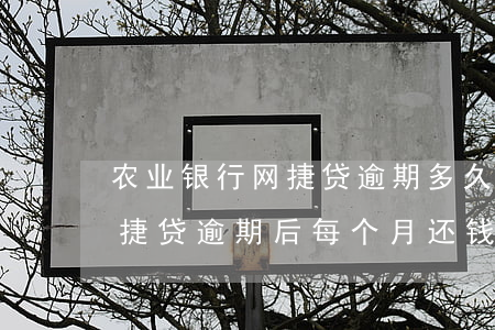 农业银行网捷贷逾期多久被起诉(农业银行网捷贷逾期后每个月还钱会被起诉吗?)