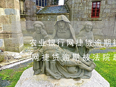 农业银行网捷贷逾期被起诉后多久执行(农行网捷贷逾期被法院起诉了怎么办)
