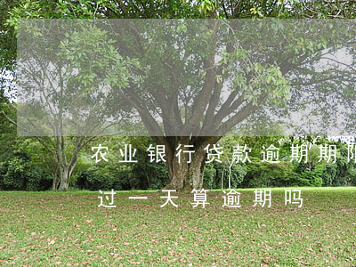 农业银行贷款逾期期限(江西农商银行贷款超过一天算逾期吗?)