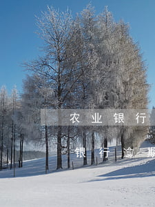 农业银行逾期协商一次性还款有减免-农业银行逾期协商一次性还款有减免吗