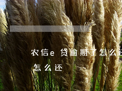 农信e贷逾期了怎么还款(农商信e贷的利息怎么还)
