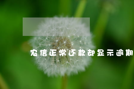 农信正常还款却显示逾期(农信逾期一天)