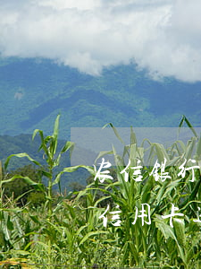 农信银行信用卡逾期2天要紧吗(农村信用社信用卡逾期2天会有不良记录吗)