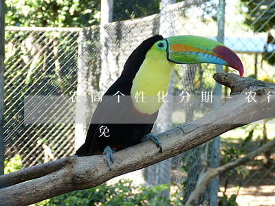 农商个性化分期-农行个性化分期能否协商减免