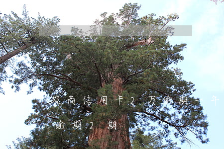农商信用卡2万逾期一年半（农行手机信用卡逾期2期）