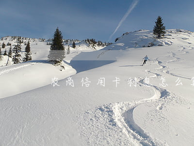 农商信用卡利息怎么算的