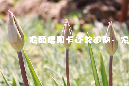 农商信用卡还款逾期-农商银行信用卡逾期