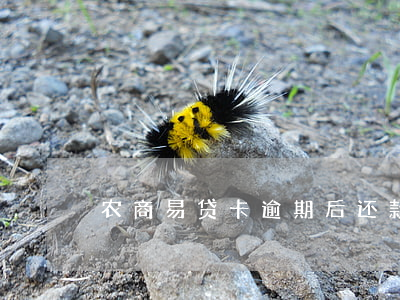 农商易贷卡逾期后还款(农金易贷卡到期续贷)
