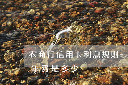 农商行信用卡利息规则-农商银行的信用卡年费是多少