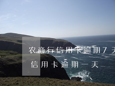 农商行信用卡逾期7天滞纳金多少（安徽农商信用卡逾期一天）
