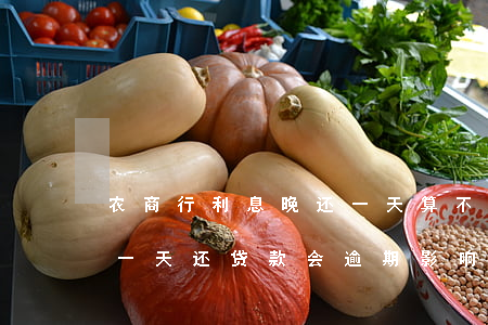 农商行利息晚还一天算不算逾期-农商行迟一天还贷款会逾期影响征信吗?