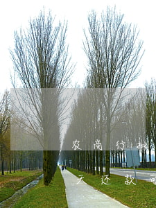 农商行批量还逾期贷款(农商银行贷款逾期5天还款可以再次贷款吗)
