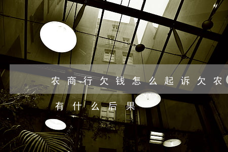 农商行欠钱怎么起诉(欠农商银行的钱没还会有什么后果?)