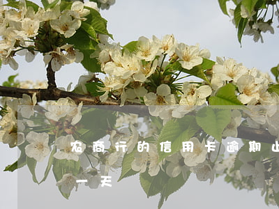 农商行的信用卡逾期止付了(农行信用卡 逾期一天)
