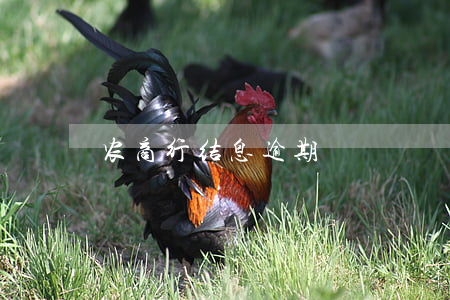 农商行结息逾期