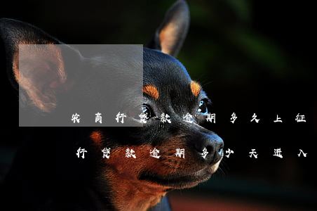 农商行贷款逾期多久上征信黑名单-农商银行贷款逾期多少天进入黑名单
