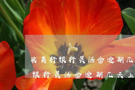 农商行银行灵活金逾期几天上征信-农商行银行灵活金逾期几天上征信啊
