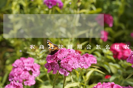 农商贷款逾期会怎么样(农商贷款能逾期多久)