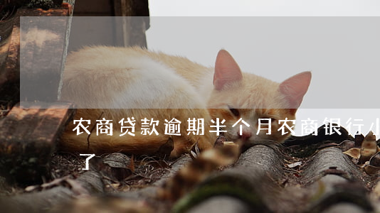 农商贷款逾期半个月(农商银行小额贷款逾期了)
