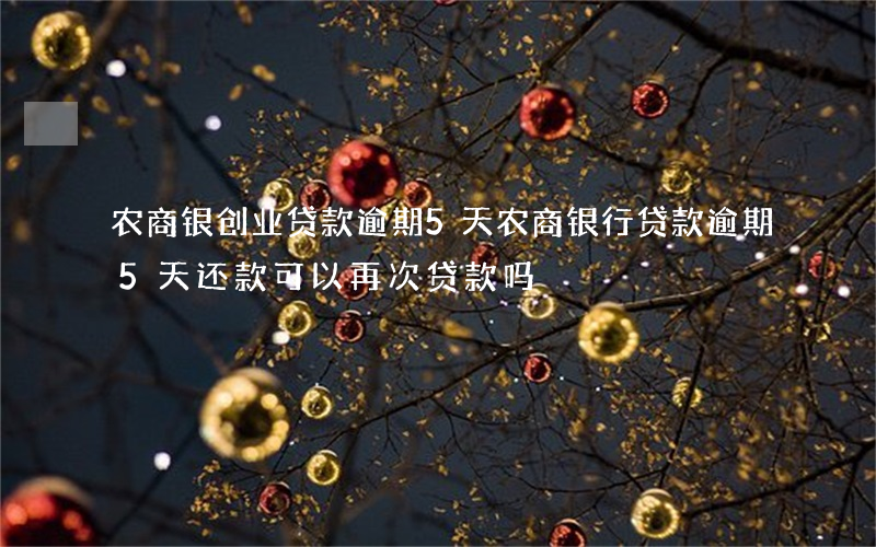 农商银创业贷款逾期5天(农商银行贷款逾期5天还款可以再次贷款吗)