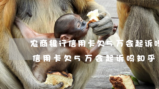 农商银行信用卡欠5万会起诉吗-农商银行信用卡欠5万会起诉吗知乎