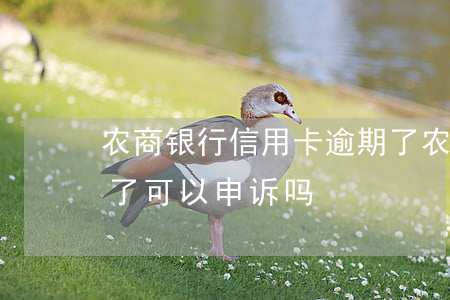 农商银行信用卡逾期了(农商银行信用卡逾期了可以申诉吗)