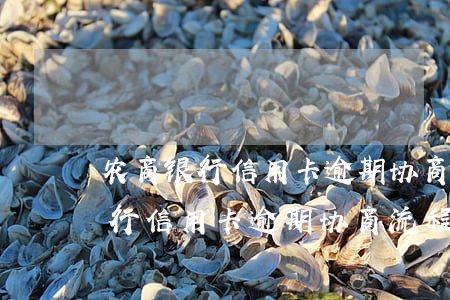 农商银行信用卡逾期协商流程上海-农商银行信用卡逾期协商流程上海分行