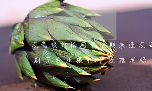 农商银行信用卡逾期未还(农业银行信用卡逾期了农业银行卡还能用吗)