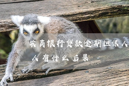 农商银行贷款逾期担保人(银行贷款逾期担保人有什么后果)
