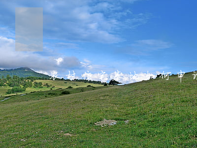 农村住宅基地如何申请