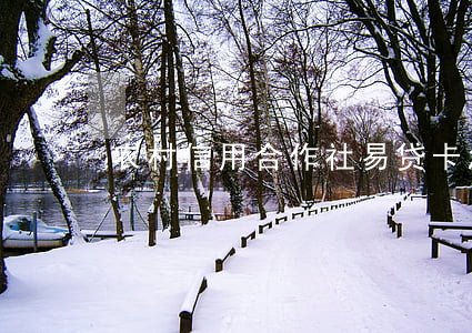 农村信用合作社易贷卡怎么还款-