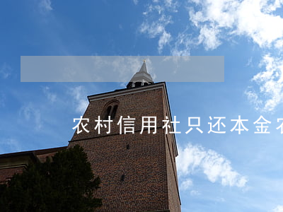 农村信用社只还本金(农村信用社只还本金)