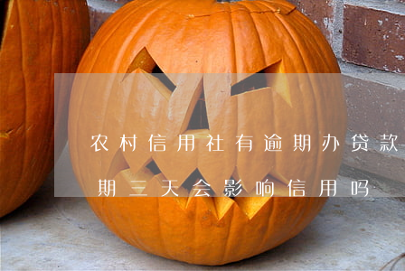 农村信用社有逾期办贷款(农村信用社贷款逾期三天会影响信用吗)