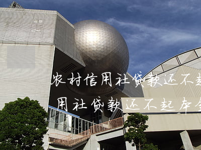 农村信用社贷款还不起本金怎么办-农村信用社贷款还不起本金怎么办呢