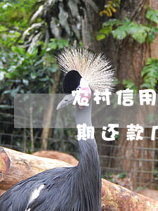 农村信用社贷款还款逾期几天会有利息吗，逾期还款几天会产生利息？——农村信用社贷款的常见问题解答