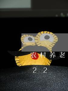 农村 养老保险(农村养老保险补缴新政策2022)