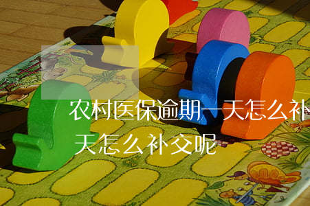 农村医保逾期一天怎么补交(农村医保逾期一天怎么补交呢)