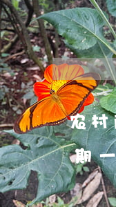 农村商业银行信用卡逾期两天(农行信用卡 逾期一天)