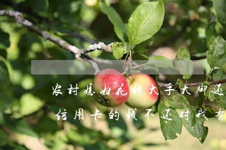 农村媳妇花钱大手大脚还欠信用卡-媳妇欠信用卡的钱不还对我有影响么