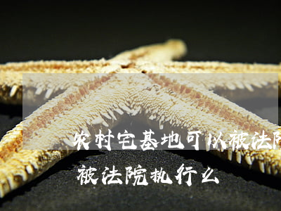 农村宅基地可以被法院执行吗(农村宅基地会被法院执行么)