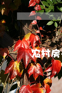 农村房子离婚怎么分割